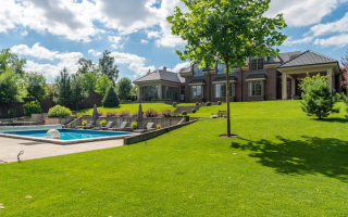 Established Landscaping & Design Company