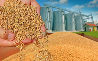Turnkey Feed Store with RE - High-Traffic Location Turnkey Feed Store with RE - High-Traffic Location