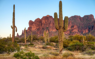 Chiropractic Practice for Sale in Mesa, AZ