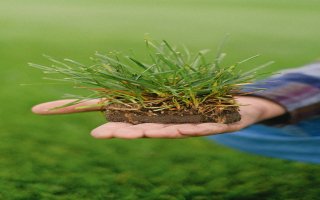 Diversified Agricultural Production & Logistics Diversified Agricultural Production & Logistics