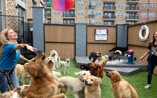 Established, Manager‑Led Pet‑Care Franchise – Strong Cash Flow – Expansion Ready