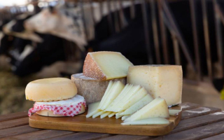 Award-Winning Artisan Cheese & Dairy Manufacturer
