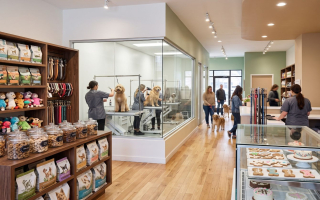 Semi-Absentee Pet Grooming Salon | 4.9 200+ Reviews | Rising Sales