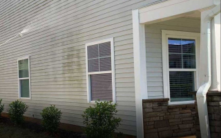 Window cleaning and Pressure Washing