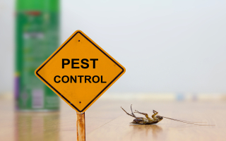 Very Small Pest Control South Sound Semi-Absentee