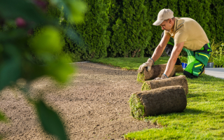 Established Commercial Landscaping and Grounds