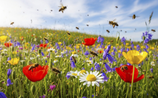 B2B & E-Commerce Company (Agricultural Niche)