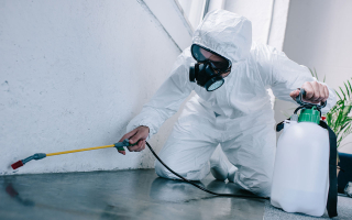 Semi absentee pest control business