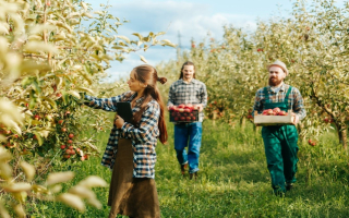 Established Agritourism Destination with Multiple Revenue Streams
