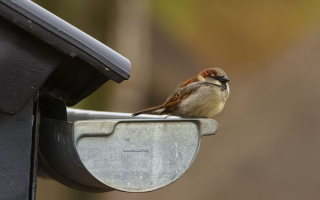 Profitable Seamless Guttering Installation Company