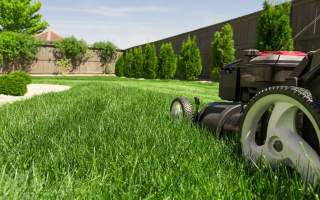 Well-Established Lawn Care & Snow Removal