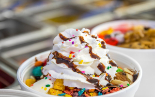 Profitable Frozen Yogurt Shop 6 Figure Net