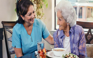 Senior Companion Care Services - Ventura County,CA