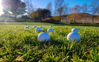 Golf Simulation company with Two Locations