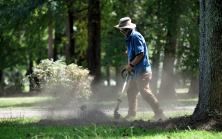 Well-established Landscape Maintenance  