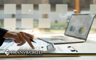 Established Business Advisory and Outsourced 