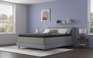 Bo Derek's Perfect 10 Sleep Shop