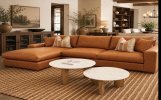 Furniture Warehouse and Luxury Showroom