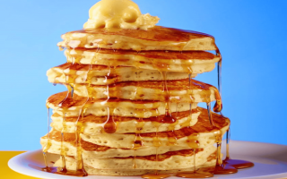 North GA Huddle House Breakfast Lunch Franchise