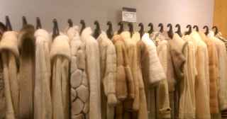 Fur Salon Retail and Storage! Very Profitable! Fur Salon Retail and Storage! Very Profitable!