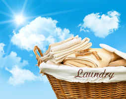 Semi-Absentee Investment: Modernized Coin Laundry