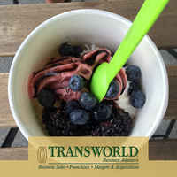 Frozen Yogurt Located in Busy Mall