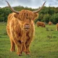 Price Reduced! Established Permaculture Farm