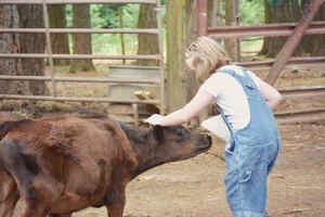 Price Reduced! Established Permaculture Farm