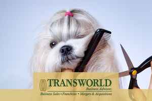 Succesful Pet Grooming Business