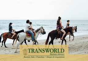 Online Pet Retail Business For Sale