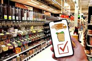 Multi-Vendor E-commerce Grocery Business
