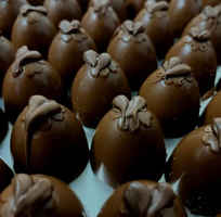 Premium Cannabis Edibles Manufacturing