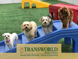 Beautiful Pet Daycare Spa/Boarding Great Location