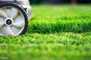 Profitable Landscaping Business