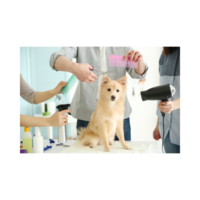 Growing Pet Grooming & Dog Boarding Business