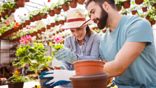 Austin Landscaping Business - Recurring Revenue