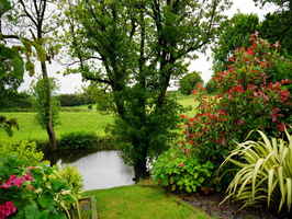 Lawn and Landscaping