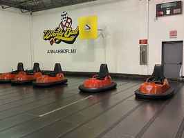 Whirly Ball of Ann Arbor - Price Reduced!