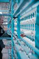 Lubricants and Additives Manufacturer/ Distributor