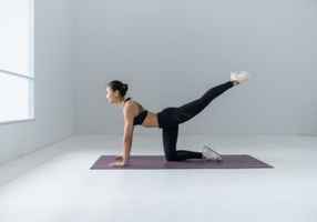 Profitable Pizza Shop-Great Repeat Business-804230