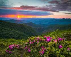 Chiropractic Practice for Sale in Asheville, NC