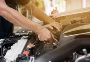 Established Healthy Chicken Franchise