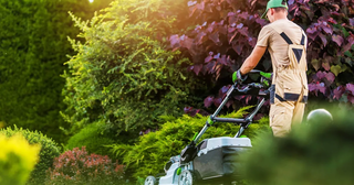 Landscaping, Irrigation and Maintenance Business