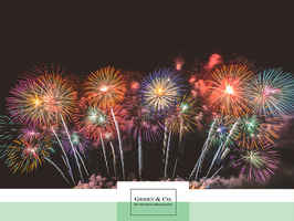 Retail Firework Sales and Store - 11048