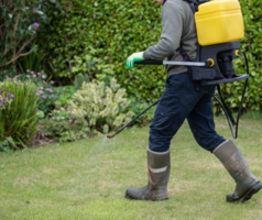 Profitable, Growing Lawn Treatment Service