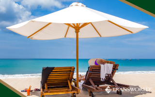 Upscale Beach Umbrella Business