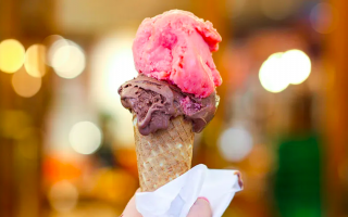 Established Italian Gelato Ice Cream