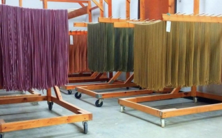 Gourmet Pasta Biz w/ Vegan & Gluten-Free Delights