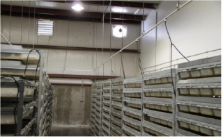 Profitable Feeder Rodent Business