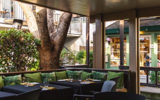 The Mustard Seed, Profitable, Long-Established